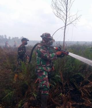 12 Hektare Karhutla di Talang Muandau Berhasil Dipadamkan, Tim Gabungan Fokus Dinginkan Lahan Gambut